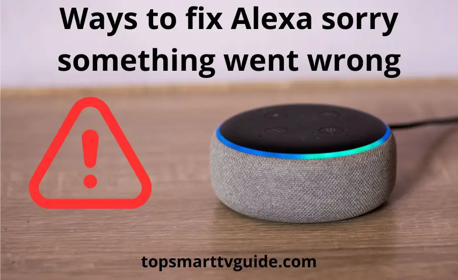 Alexa sorry something went wrong: top 10 tips & super guide